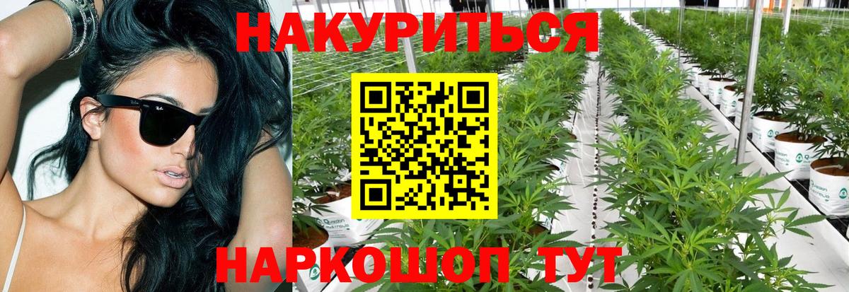 Бошки марихуана LSD WEED  Вход с VPN  Шишки марихуана семена  Дмитров 